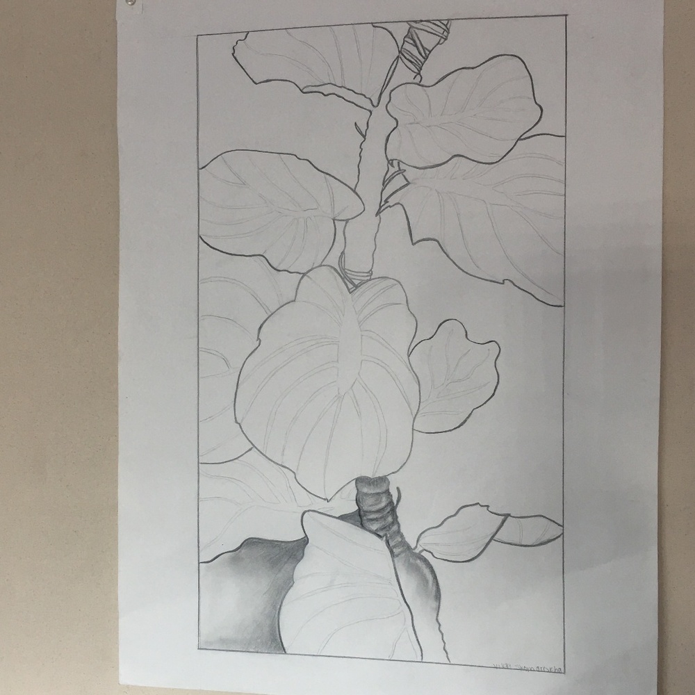 Original Still Life of plant w/ Accent line work